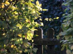 Privatrechtliche Regelungen zwischen Grundstücksnachbarn Privatrechtliche Regelungen zwischen Grundstücksnachbarn