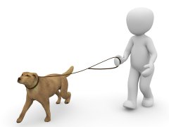 Leinenpflicht für Hunde