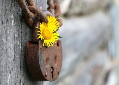 Schloß mit Blume