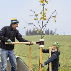 Streuobst 2 Streuobst 2